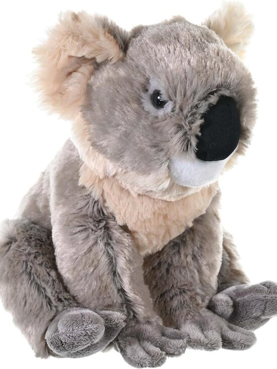 Wild Republic Other - NWT Wild Republic Koala Plush Stuffed Animal